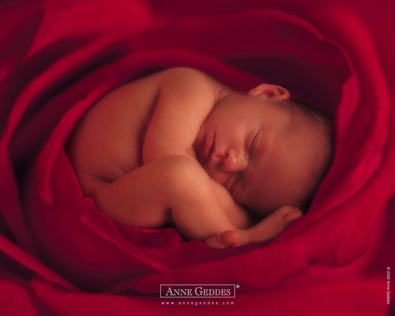Anne Geddes : bébé dort fond ecran Anne Geddes : bébé dort