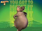 fond ecran Madagascar 2: hippopotame
