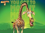 fond ecran Madagascar 2: girafe