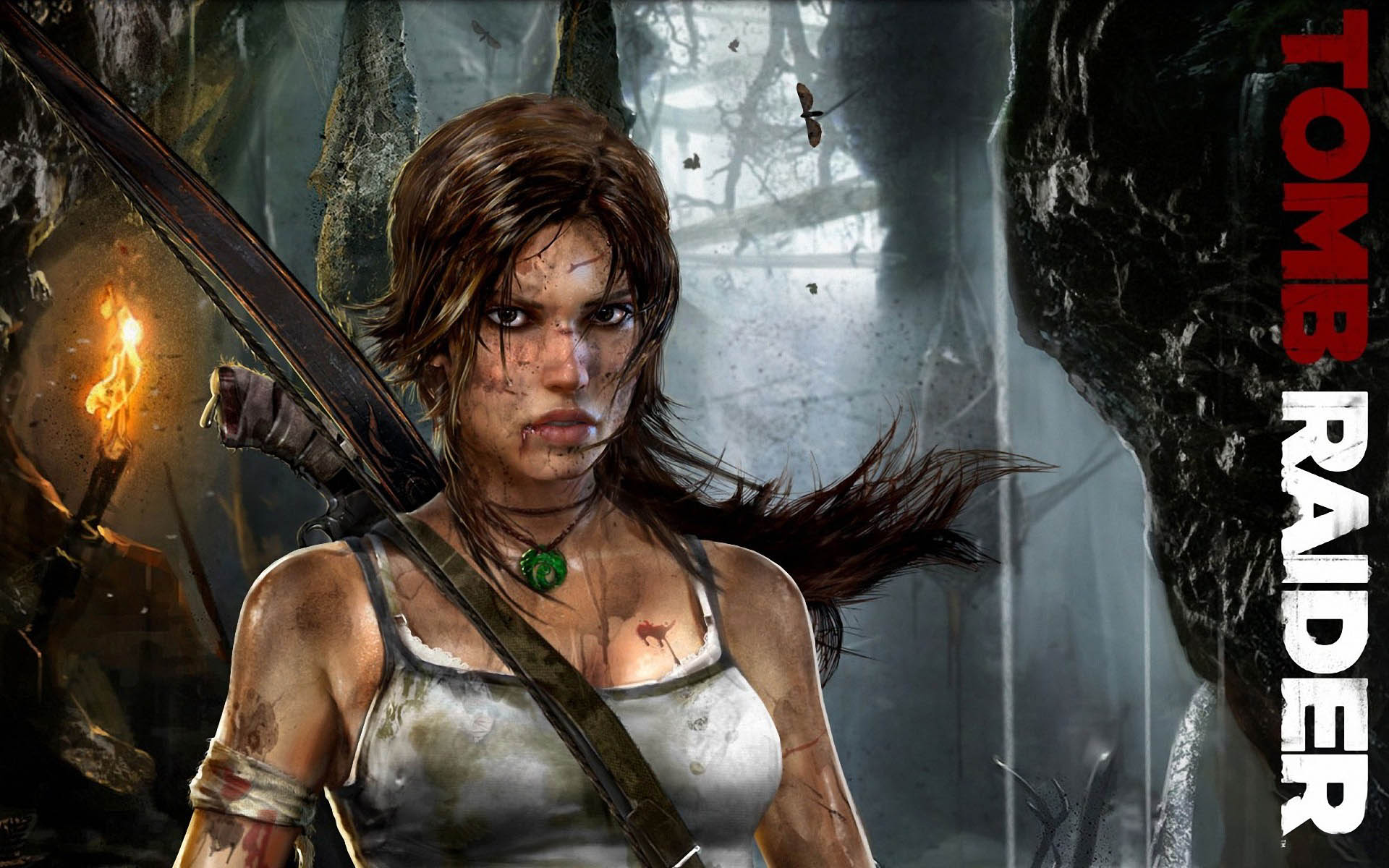 Fond d'écran Tomb Raider 2012 : Lara Croft gratuit fonds écran Tomb