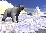 fond ecran  Oours polaire en 3D