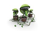 fond ecran  Plantes carnivores en 3D