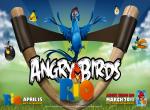 Angry Birds : Rio wallpaper