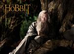 fond ecran  Bilbo le Hobbit : Gandalf