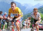 fond ecran  Lance Armstrong