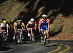 cyclisme wallpaper