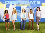 Desperate Housewives  wallpaper