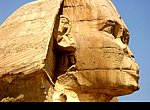fond ecran  Egypte : le Sphinx