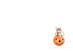 fond ecran Halloween: chat et citrouille
