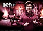 Harry Potter et l'ordre du phenix wallpaper