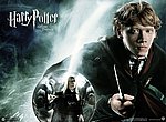 Harry Potter et l'ordre du phenix wallpaper