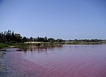 fond ecran  lac rose au Sénégal