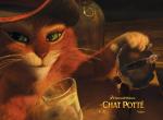Le Chat Potté : Affiche wallpaper