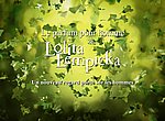 fond ecran  Lolita Lempicka