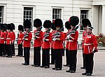 fond ecran  buckingham palace guards