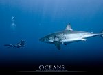 Océans : requin wallpaper