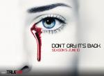 fond ecran  True Blood : Saison 5