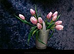 bouquet de tulipes  wallpaper