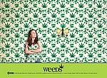 Weeds wallpaper