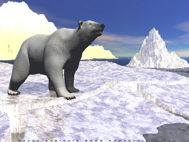 Oours polaire en 3D fond ecran Oours polaire en 3D
