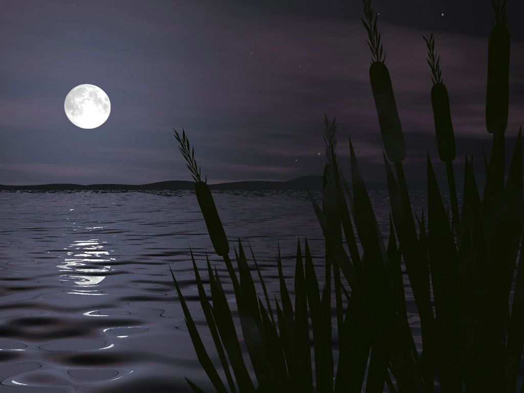 Clair de lune en 3D fond ecran Clair de lune en 3D