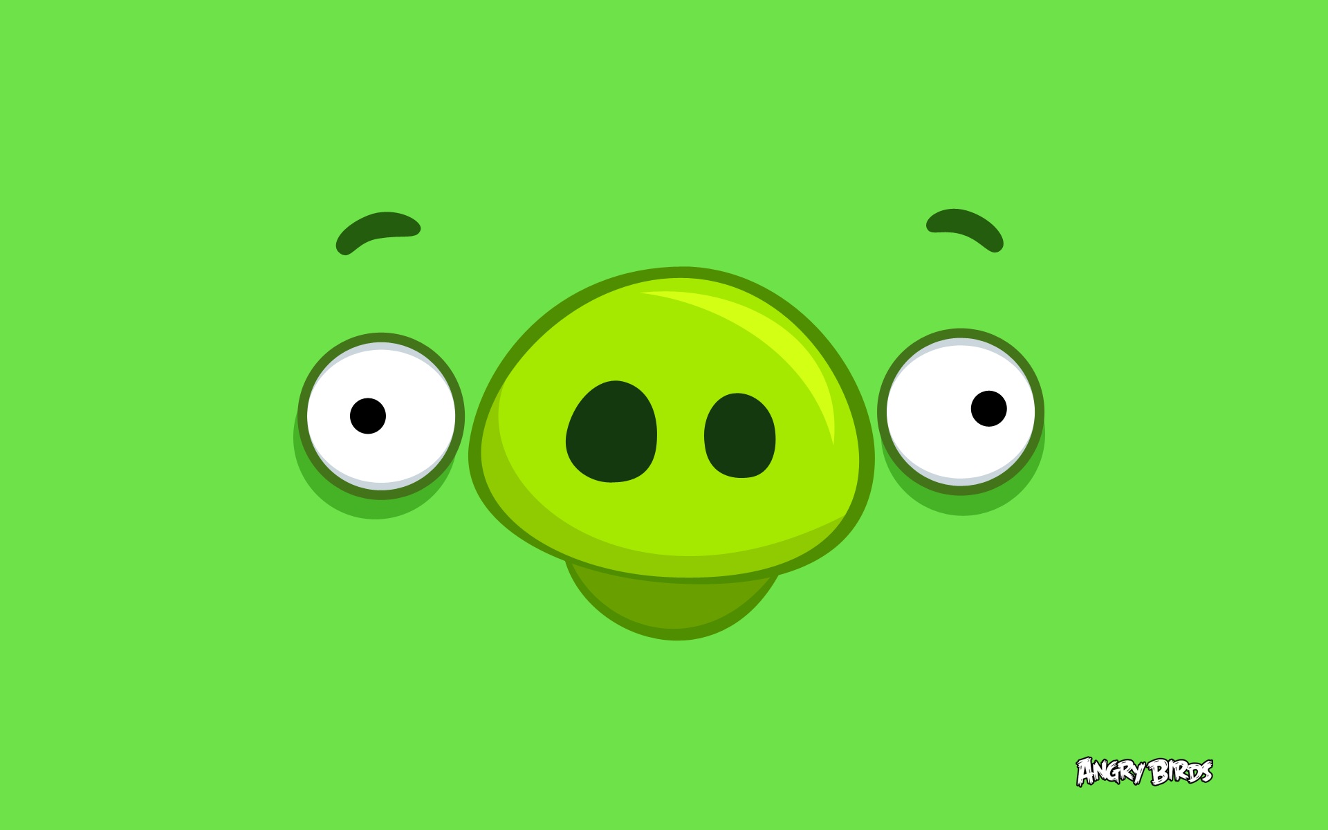 Angry Birds : Cochon fond ecran Angry Birds : Cochon
