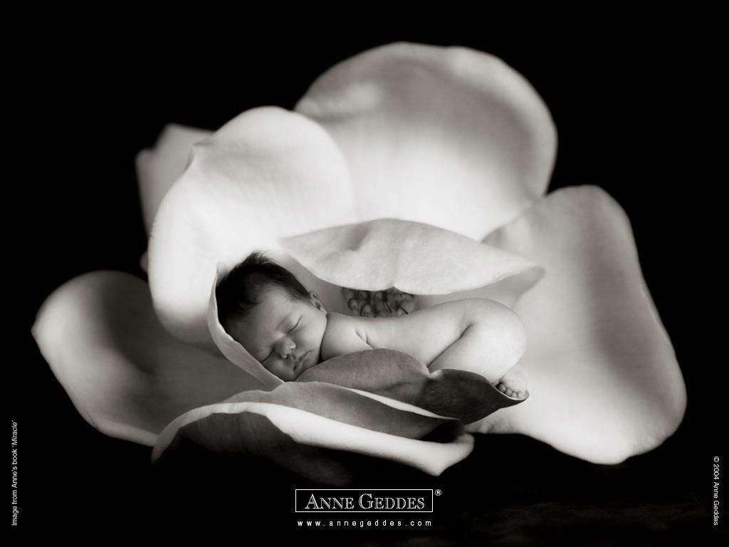 Anne Geddes: bébé en noir et blanc fond ecran Anne Geddes: bébé en noir et blanc