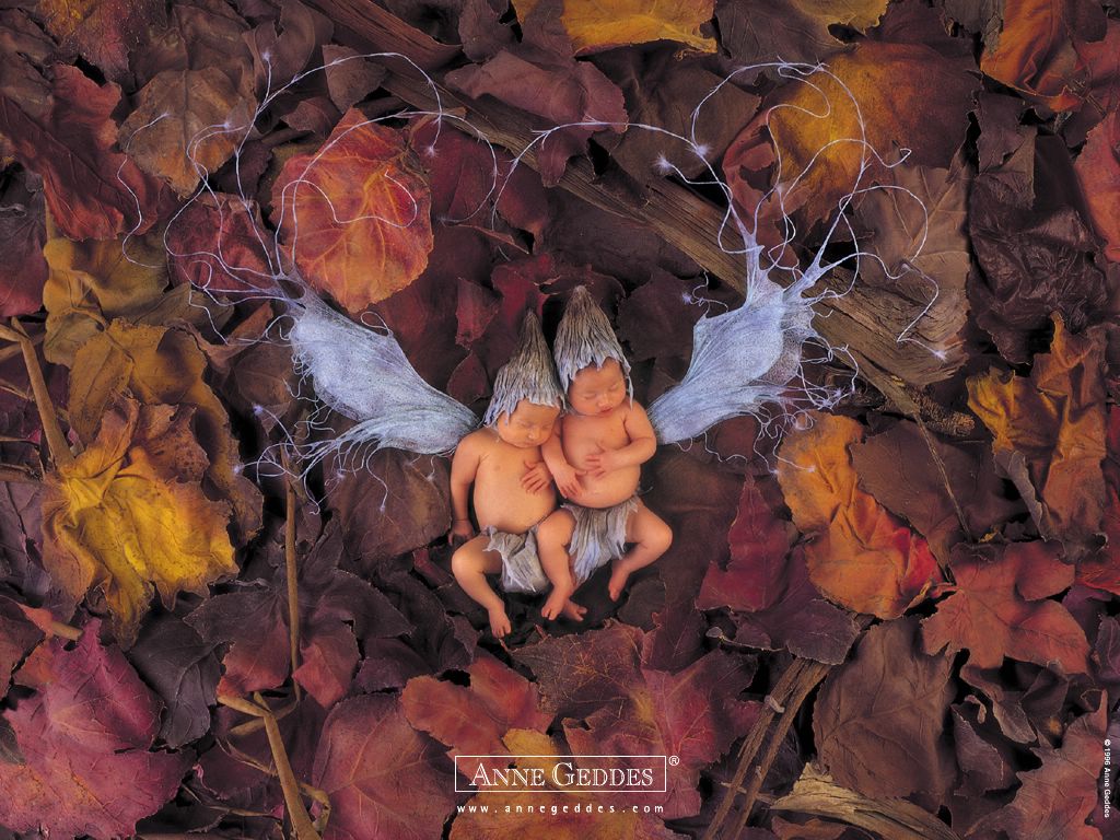 Anne Geddes: bébés fond ecran Anne Geddes: bébés