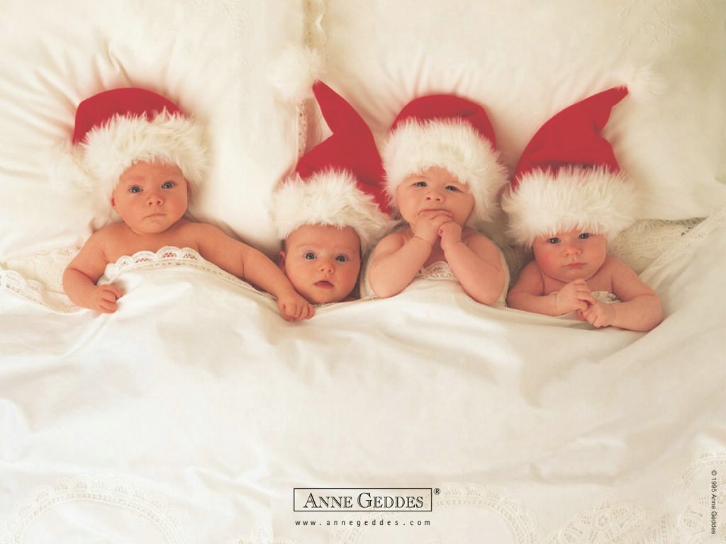 Anne Geddes: bébés Noël fond ecran Anne Geddes: bébés Noël