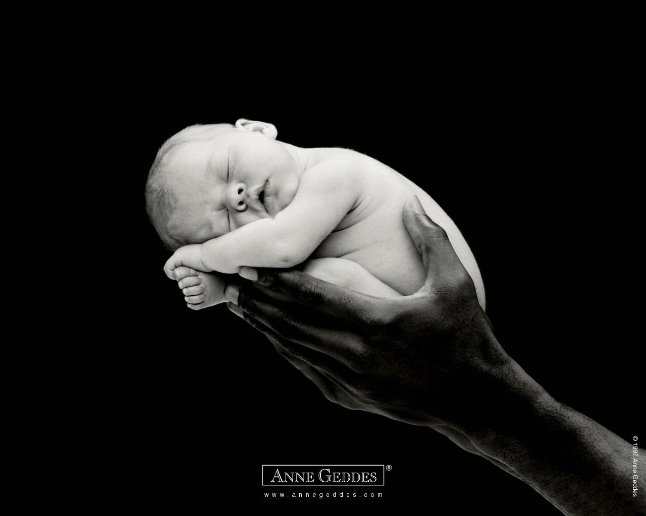 Anne Geddes: nouveau né fond ecran Anne Geddes: nouveau né