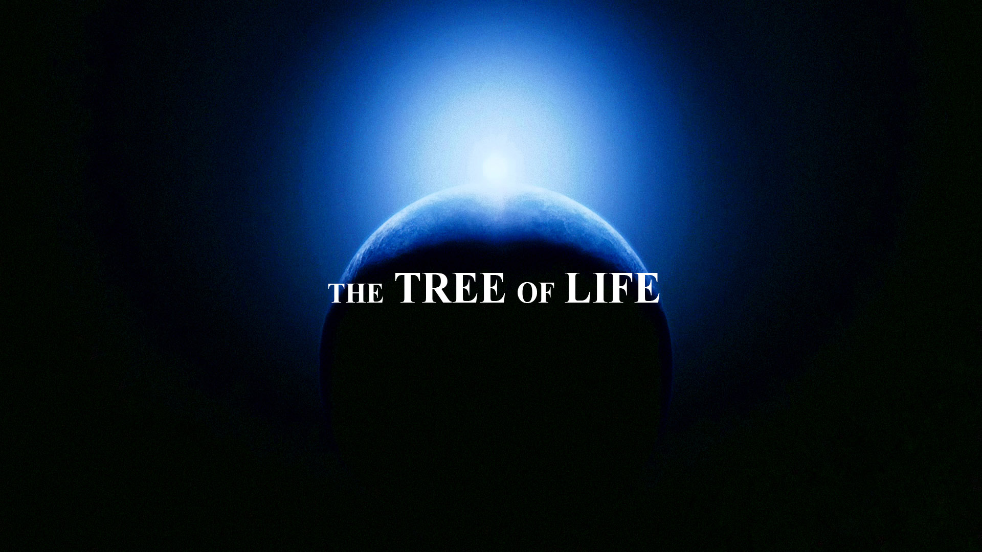 L'arbre de Vie fond ecran L'arbre de Vie