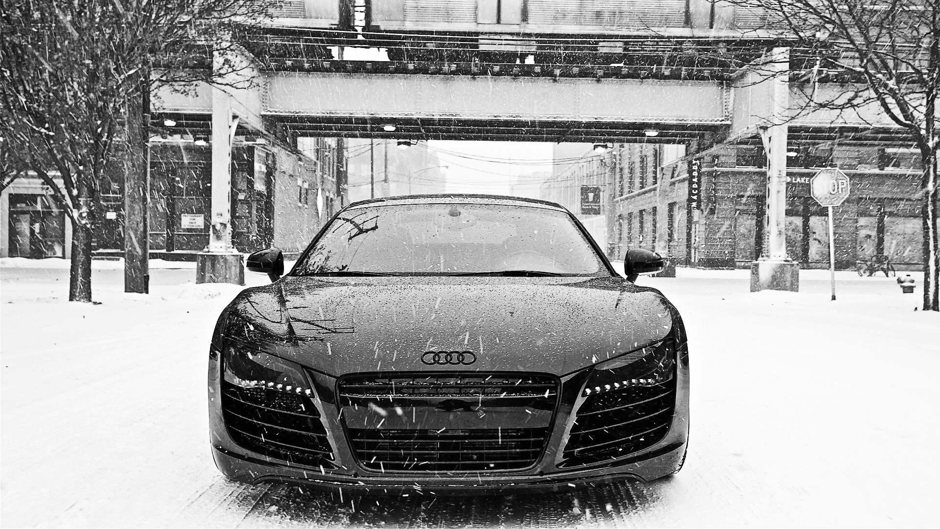 Audi R8 fond ecran Audi R8