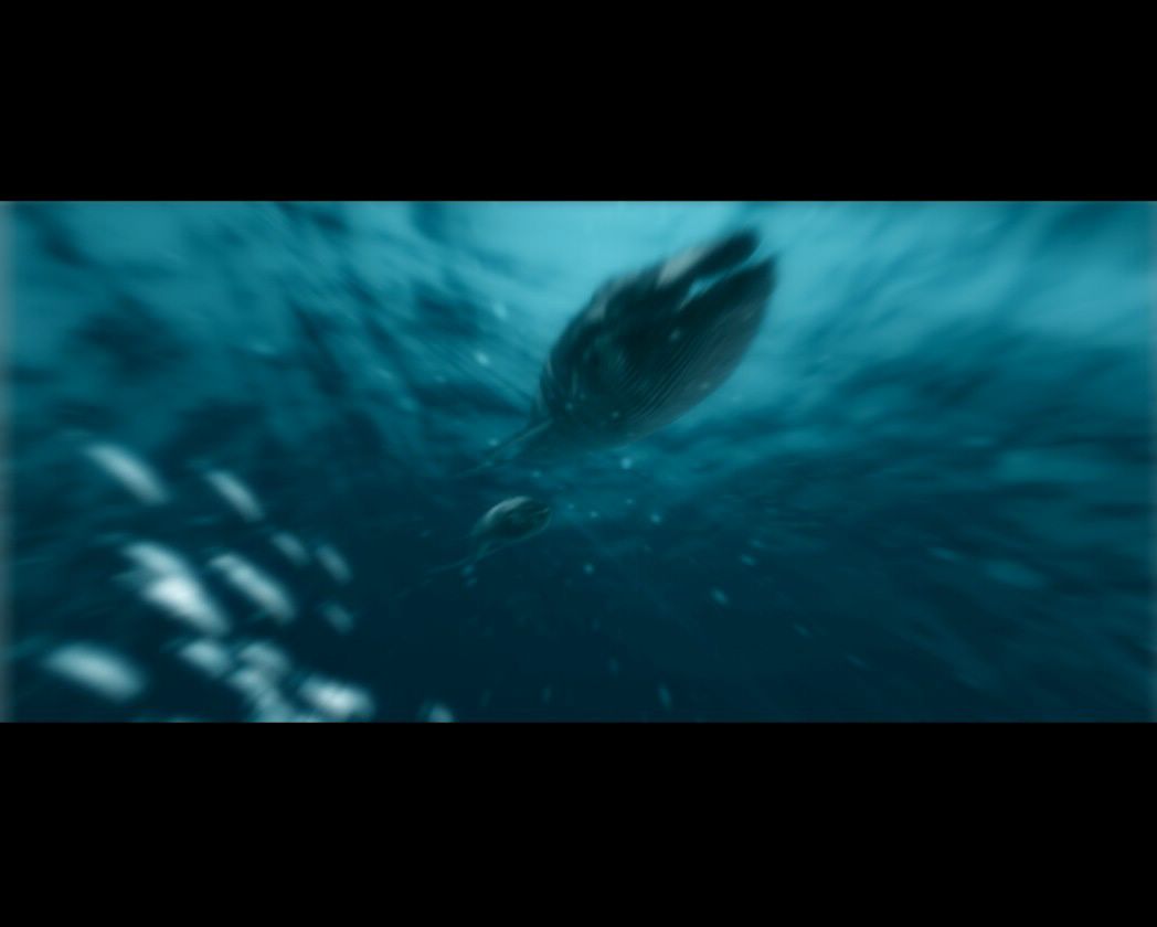 baleines fond ecran baleines