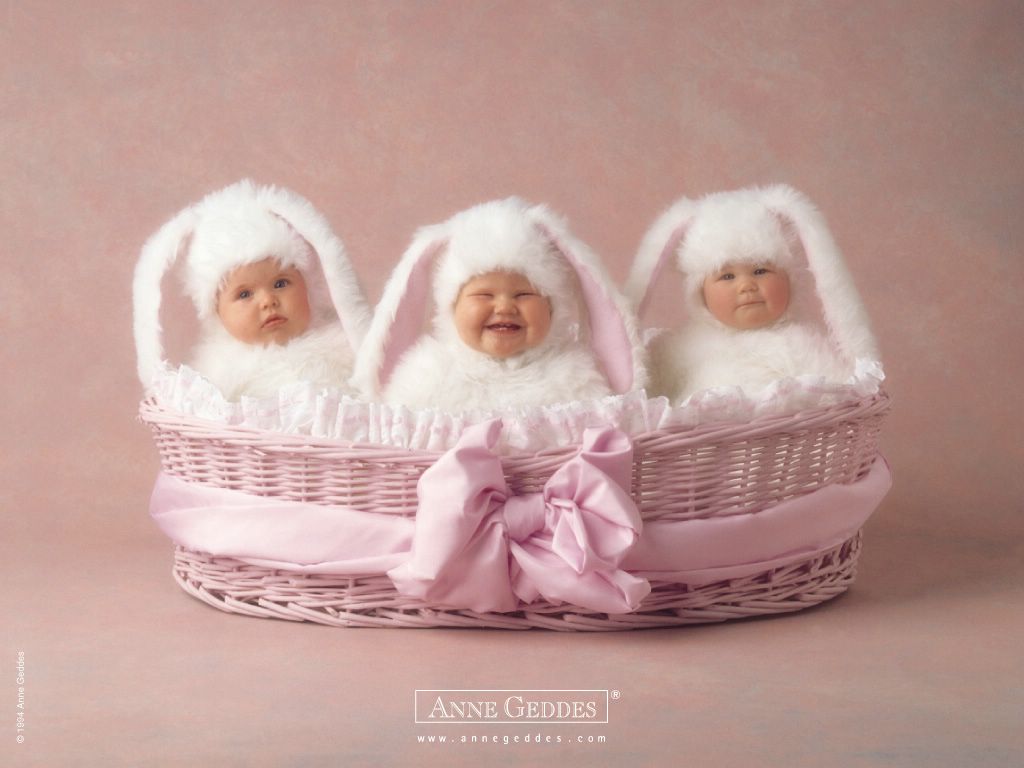 Anne Geddes : bébés lapins fond ecran Anne Geddes : bébés lapins