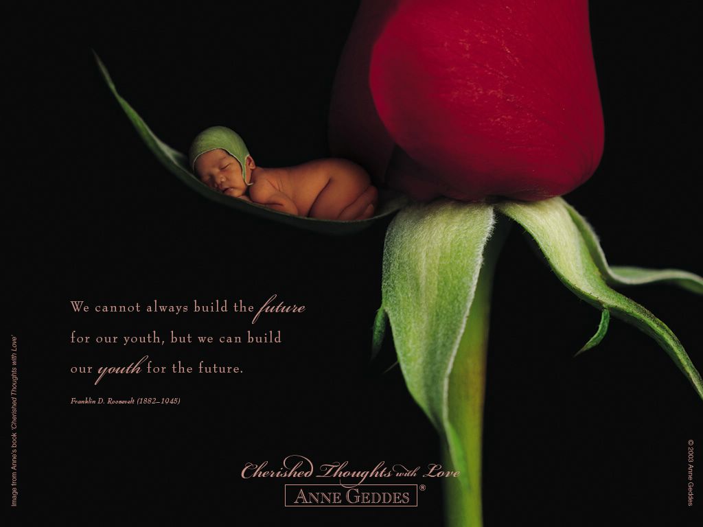 bébés rose fond ecran bébés rose