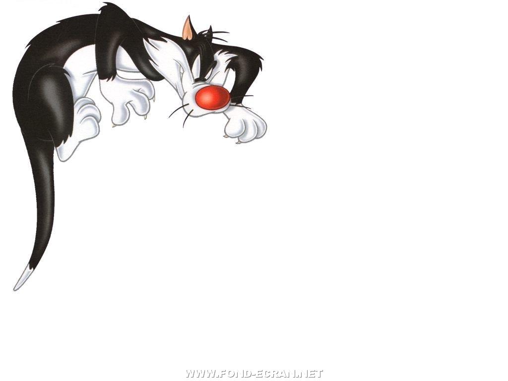 Gros Minet fond ecran Gros Minet