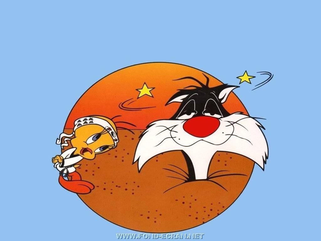 Titi et Gros Minet fond ecran Titi et Gros Minet
