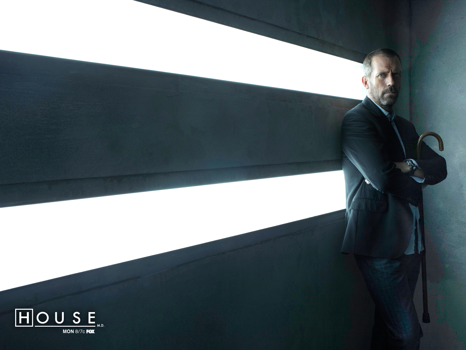 Dr House fond ecran Dr House