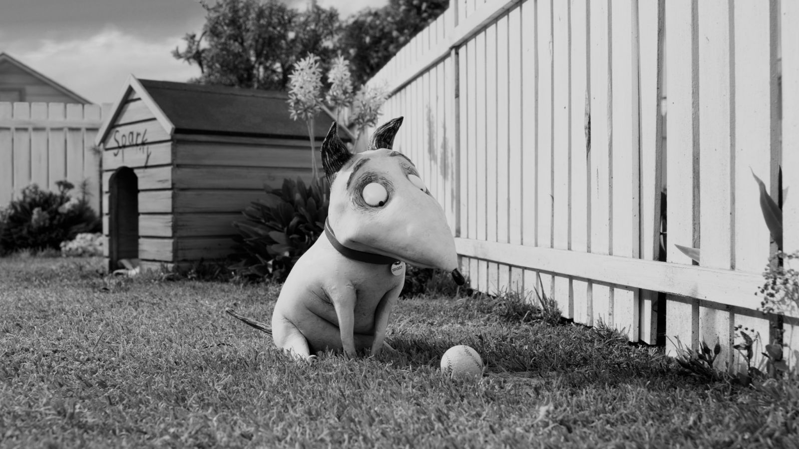 Frankenweenie fond ecran Frankenweenie
