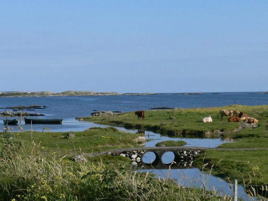 Irlande fond ecran Irlande