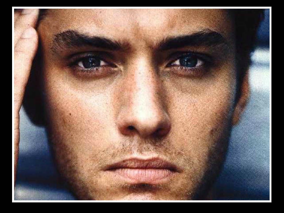 Jude Law fond ecran Jude Law
