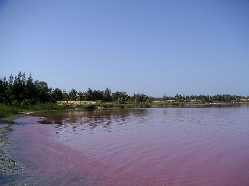 lac rose au Sénégal fond ecran lac rose au Sénégal