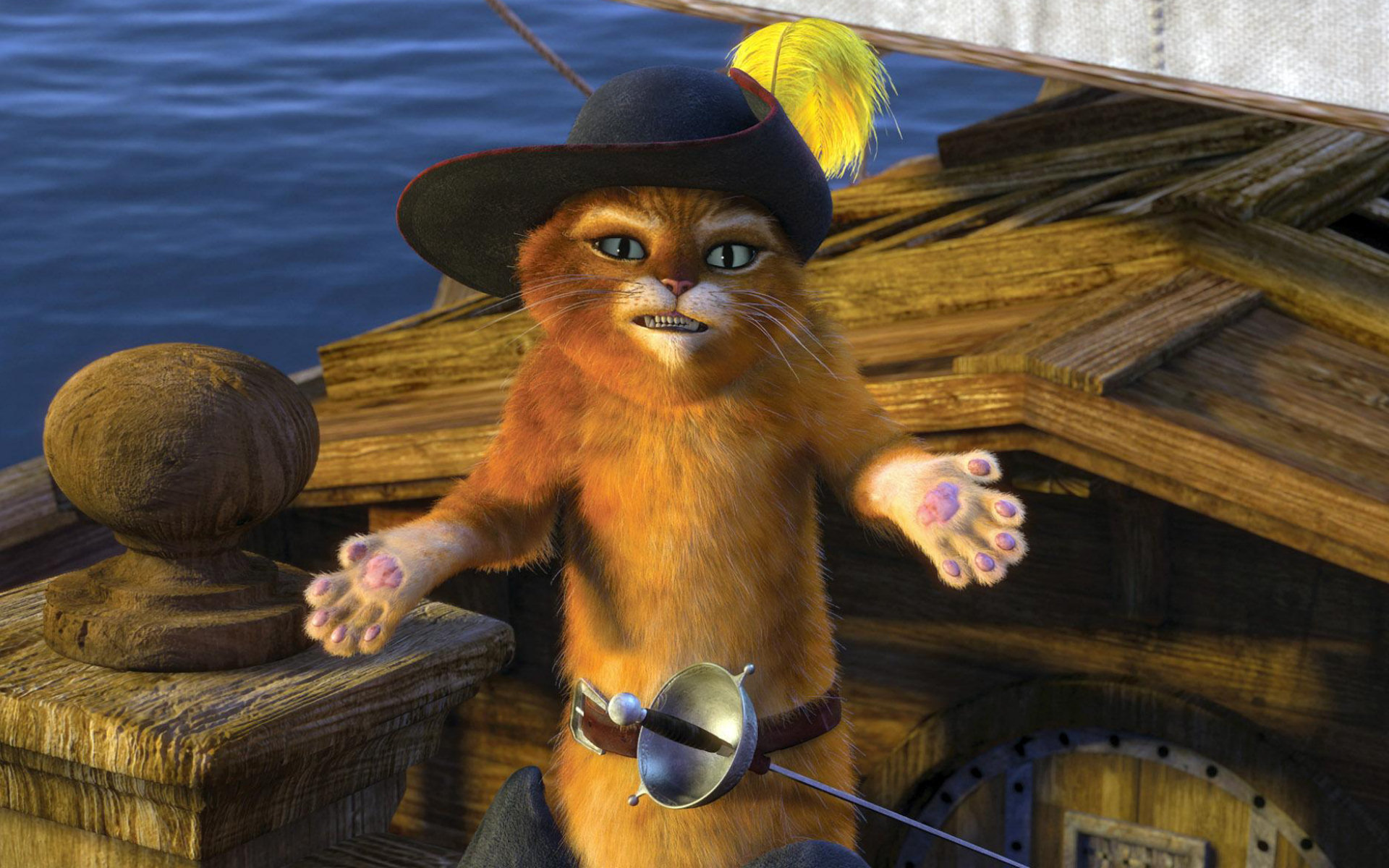 Le Chat Potté fond ecran Le Chat Potté