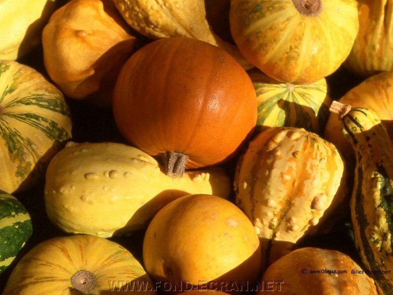 legumes fond ecran legumes
