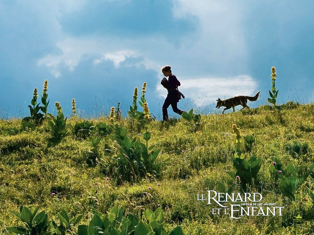 Le renard et l'enfant fond ecran Le renard et l'enfant