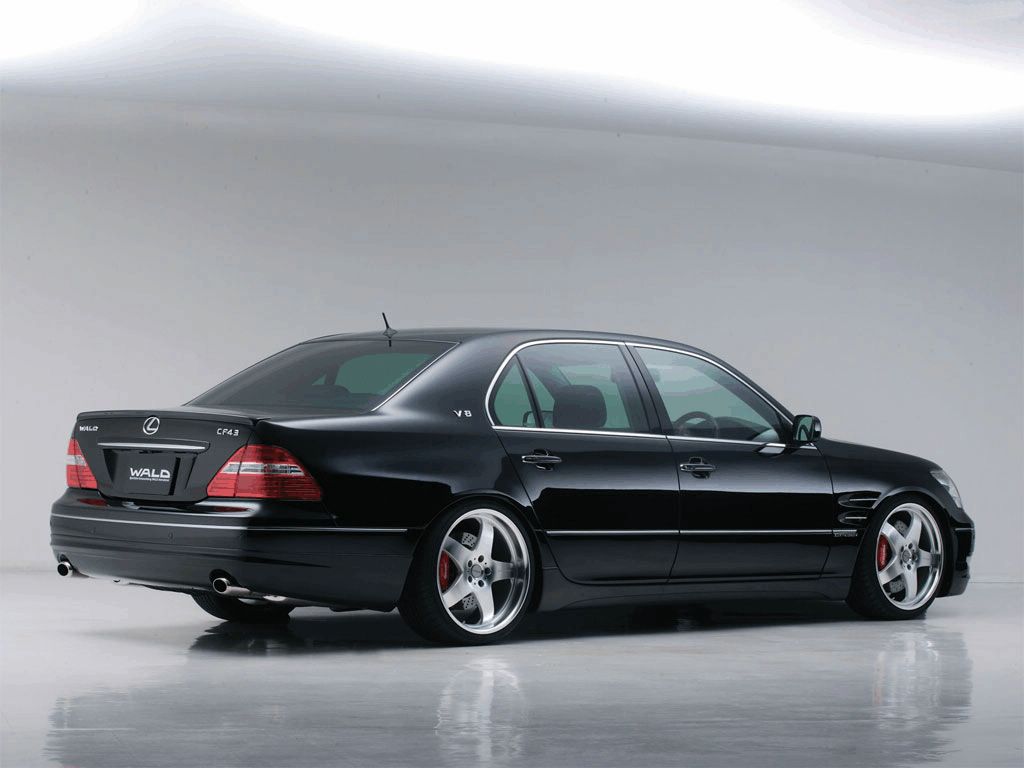 Lexus CF43 Wald fond ecran Lexus CF43 Wald
