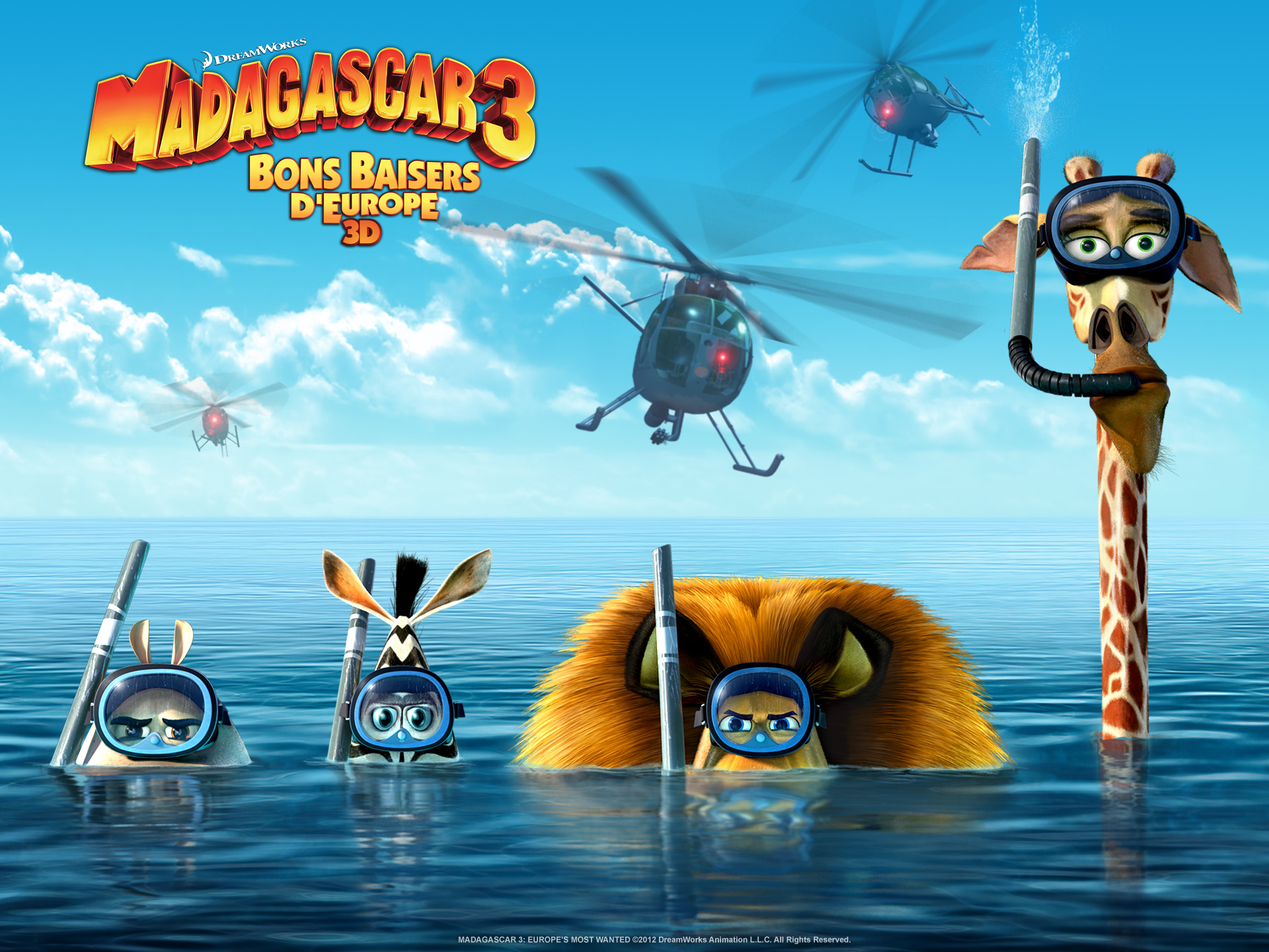 Madagascar 3 fond ecran Madagascar 3