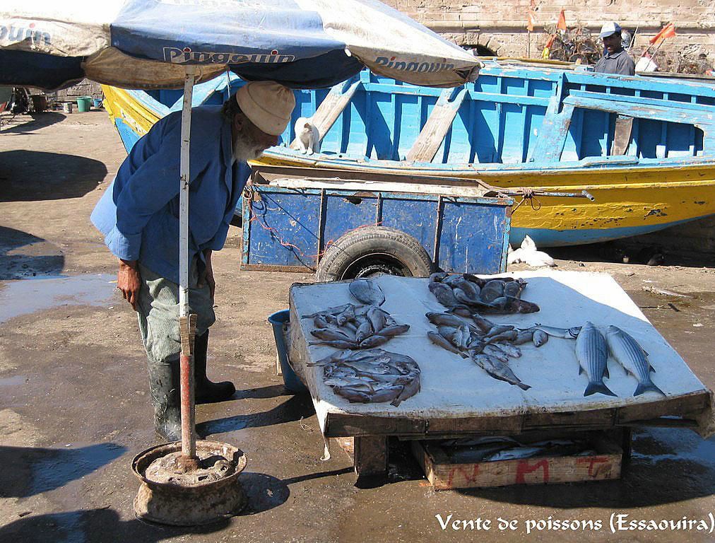 Maroc fond ecran Maroc