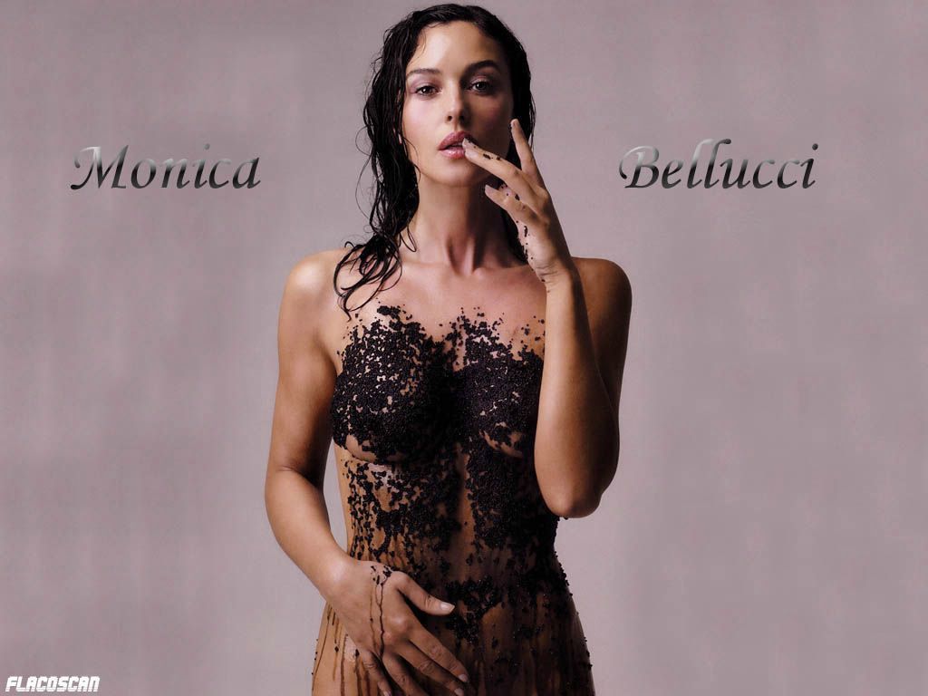 Monica Bellucci fond ecran Monica Bellucci