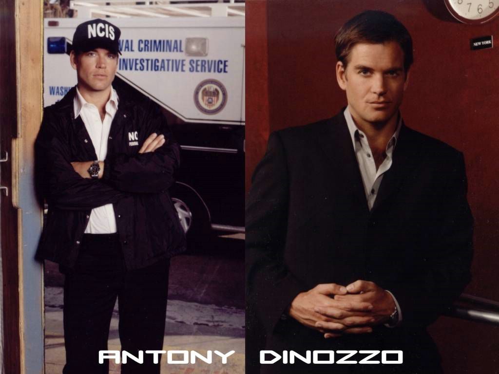 Antony Dinozzo fond ecran Antony Dinozzo